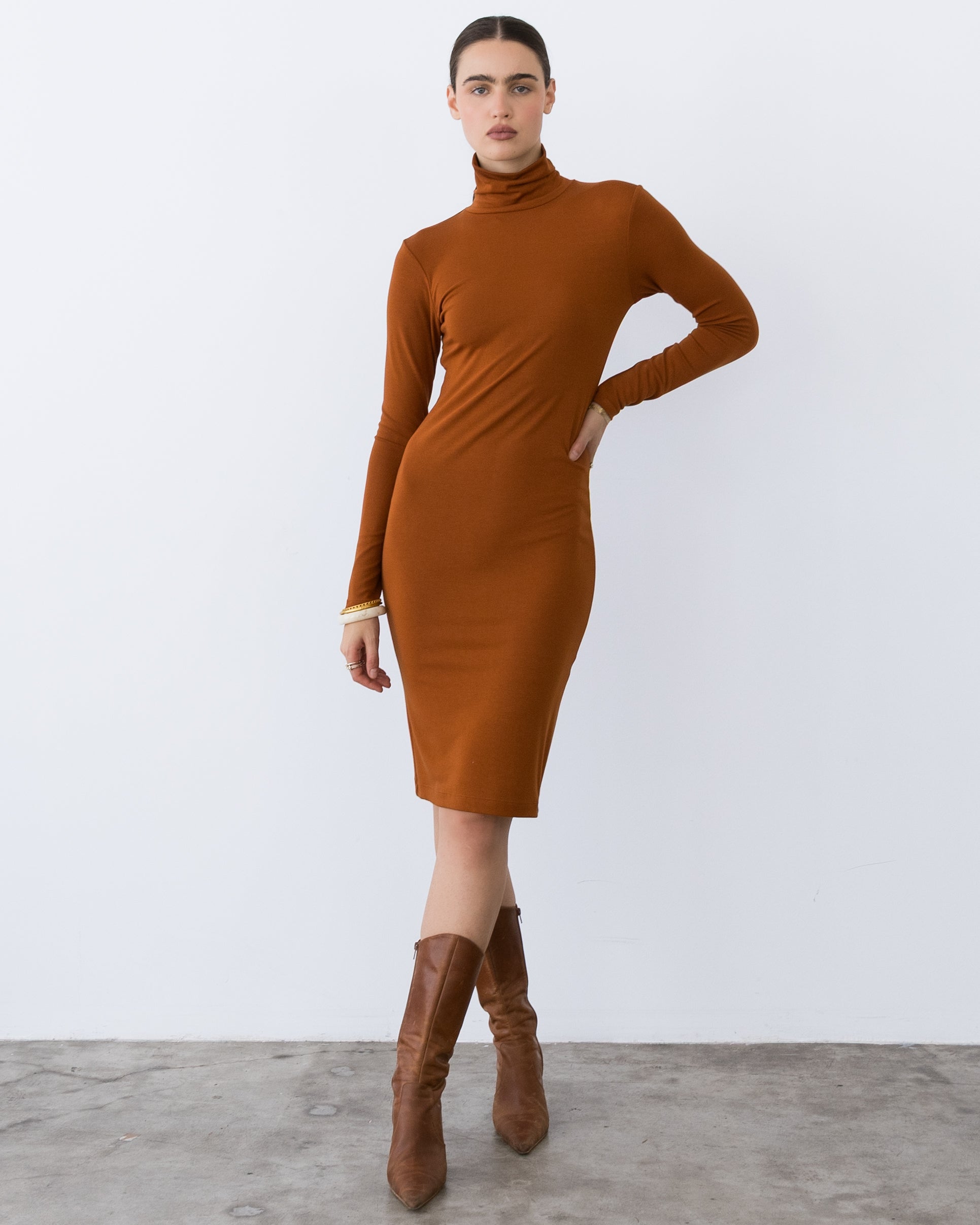 Rust Midi Turtleneck Dress