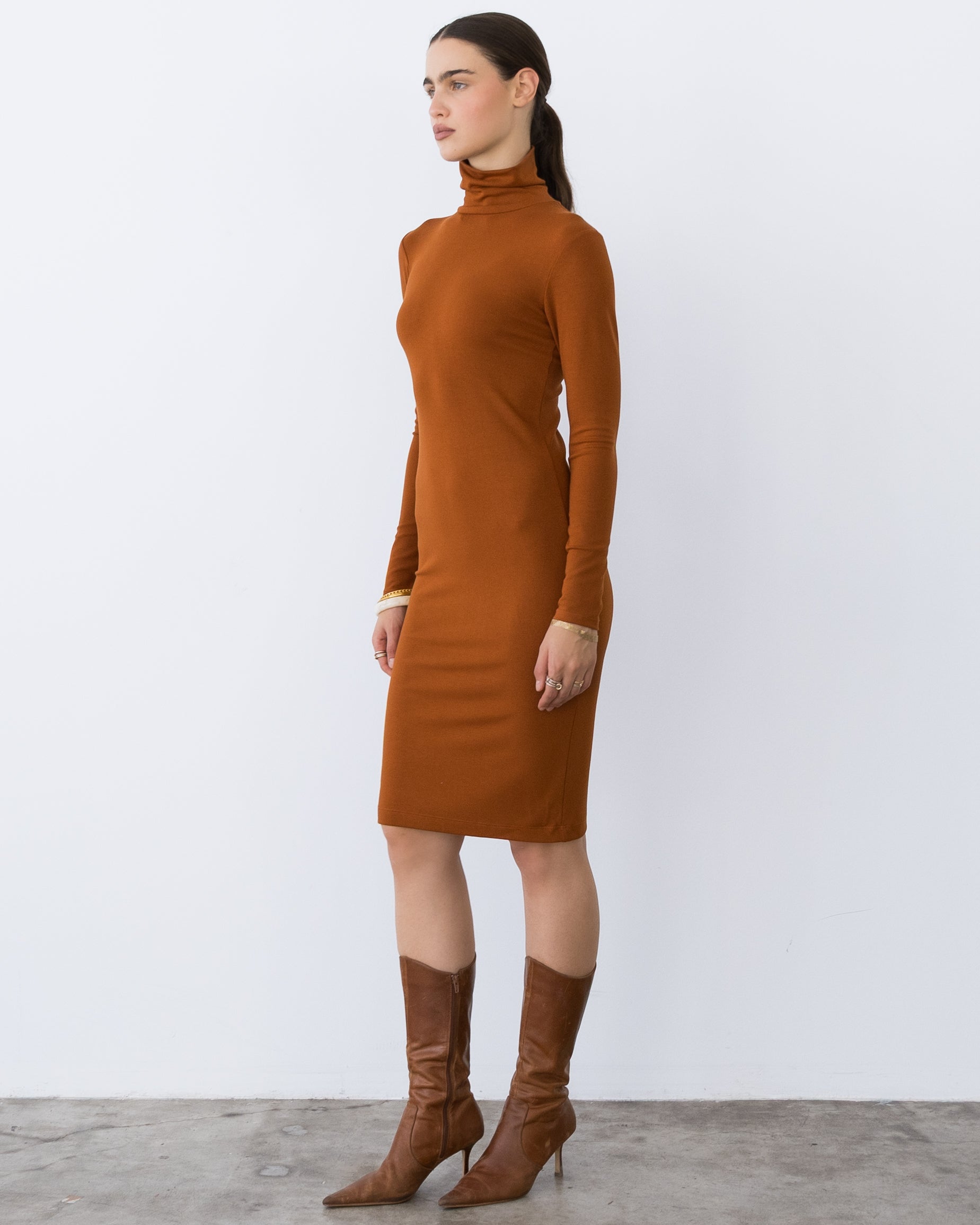 Rust Midi Turtleneck Dress