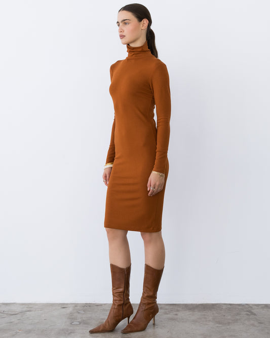 Rust Midi Turtleneck Dress