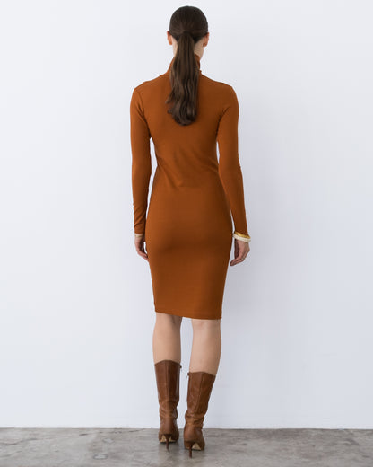 Rust Midi Turtleneck Dress
