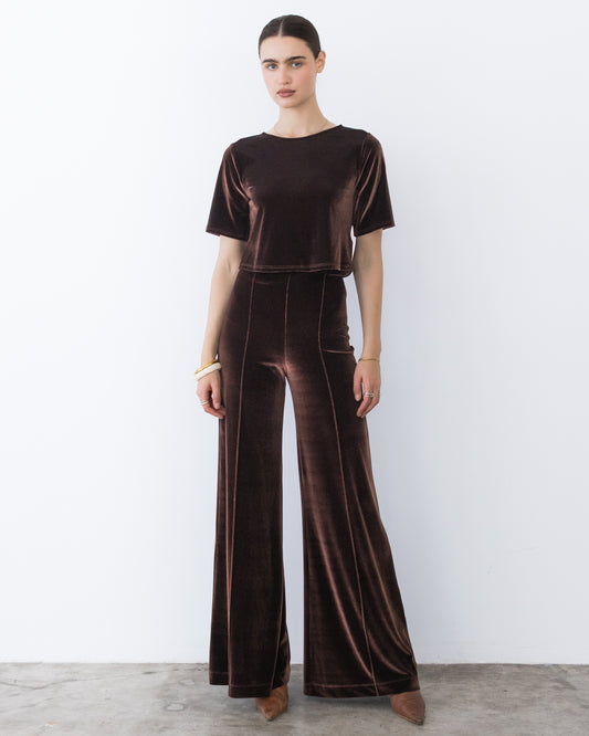 Chocolate Stretch Velvet Standard Wide Leg Pant