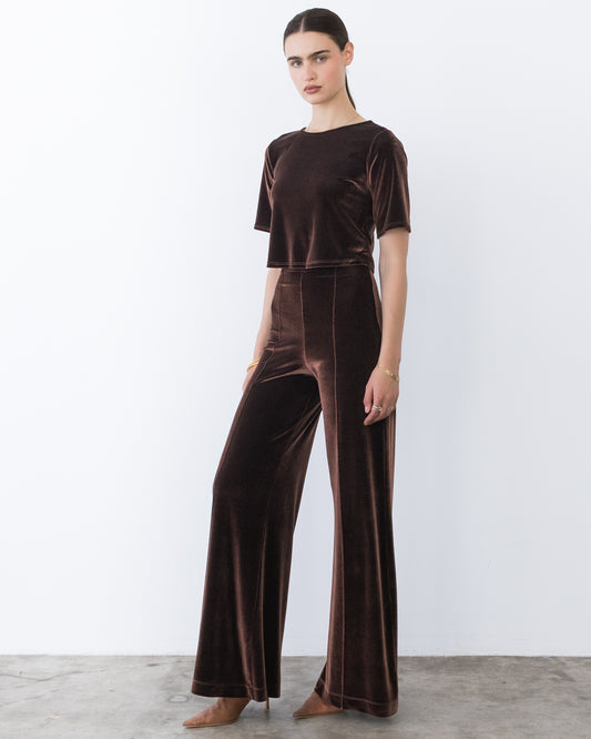 Chocolate Stretch Velvet Standard Wide Leg Pant