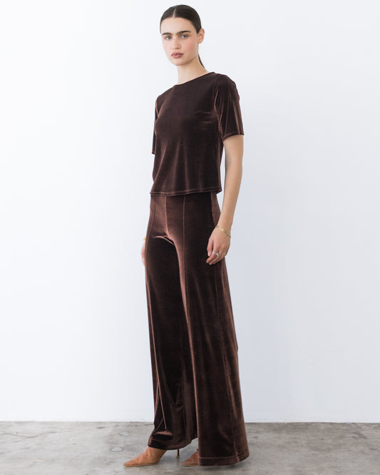 Chocolate Stretch Velvet Extended Short Sleeve Top