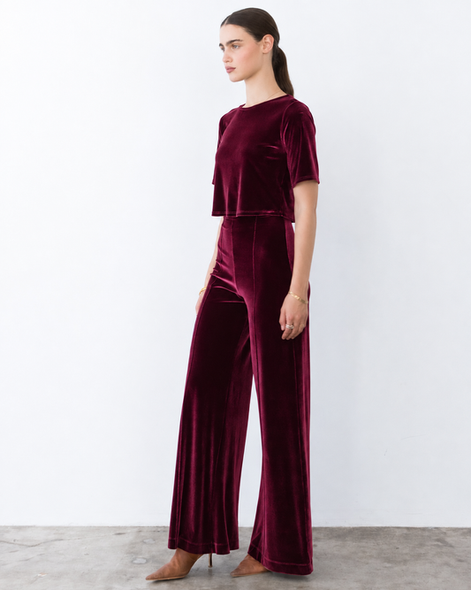 Merlot Stretch Velvet Short Sleeve Top
