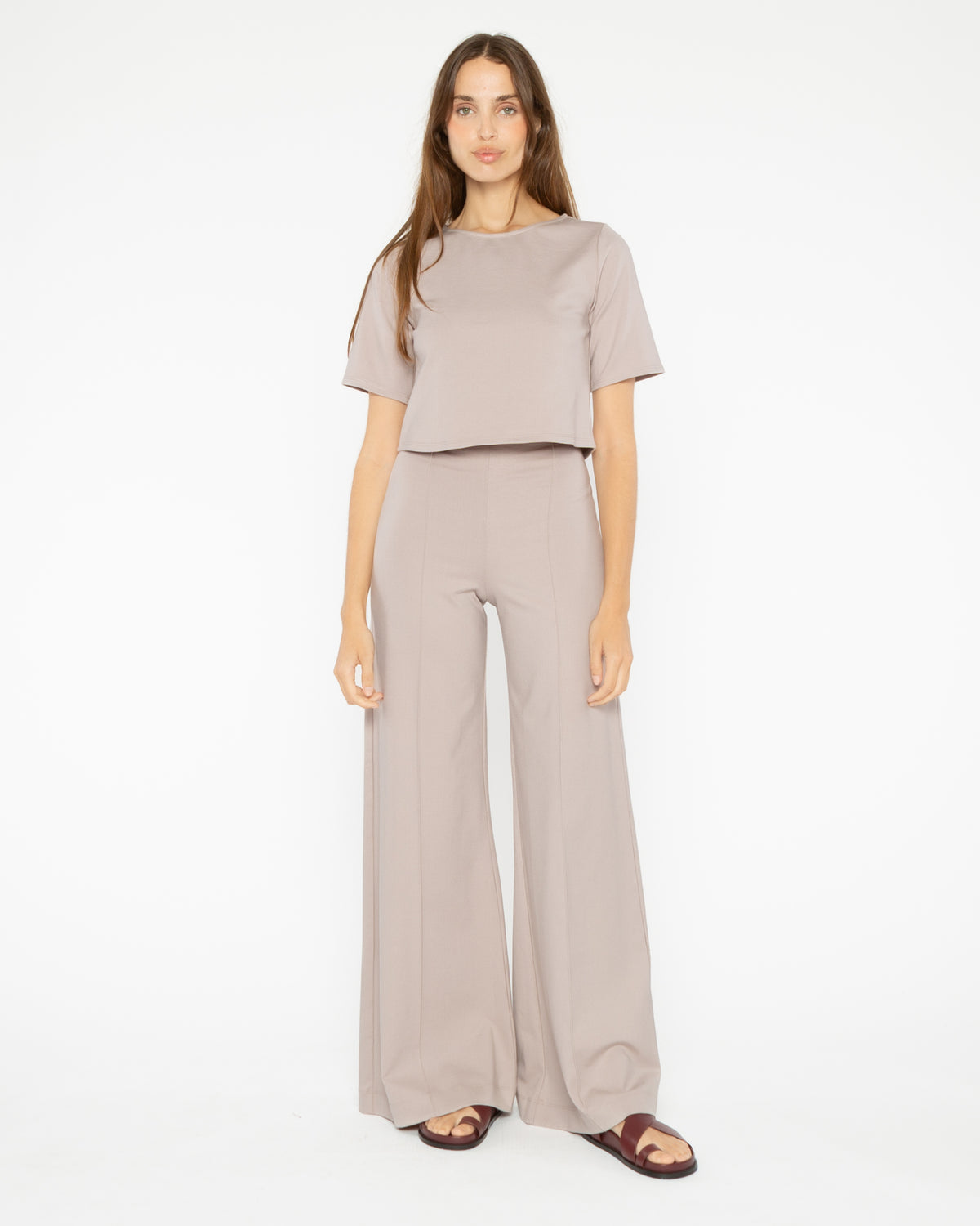 Clay Ponte Knit Wide Leg Pant