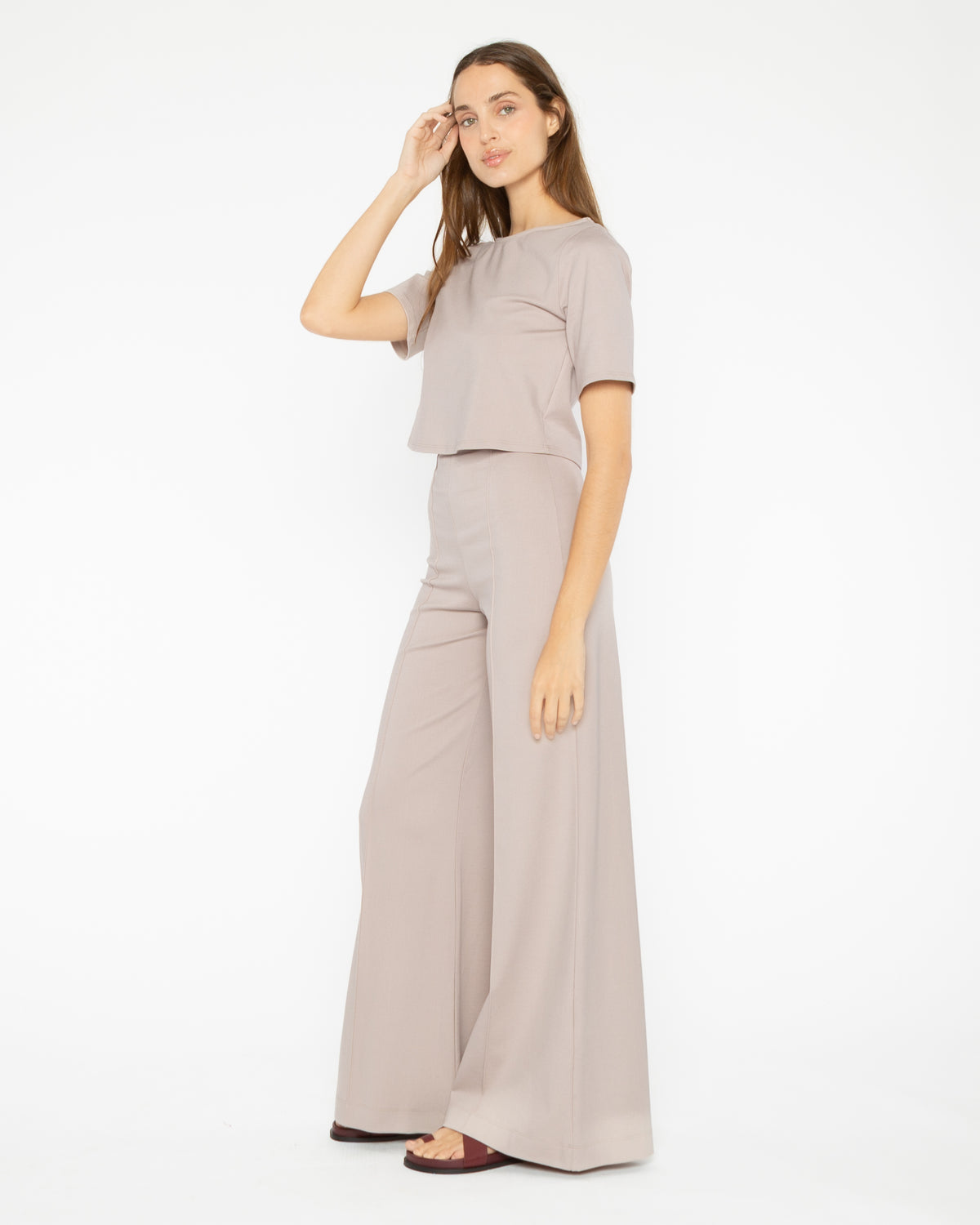 Clay Ponte Knit Wide Leg Pant