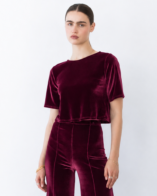 Merlot Stretch Velvet Short Sleeve Top