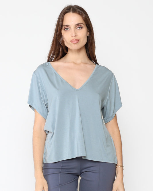 Chambray Everyday V Neck