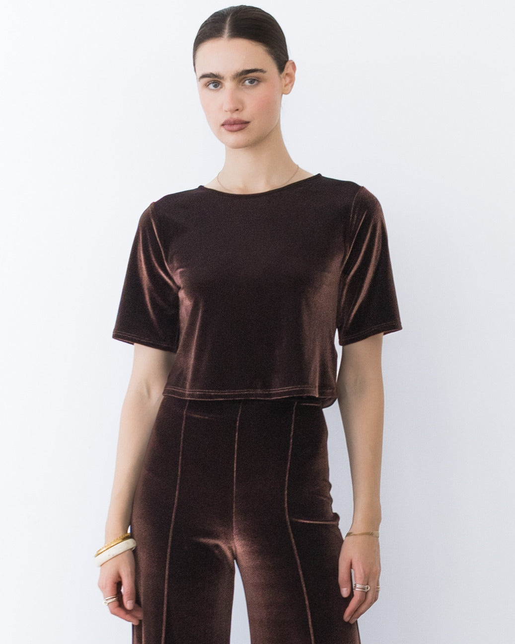 Chocolate Stretch Velvet Short Sleeve Top