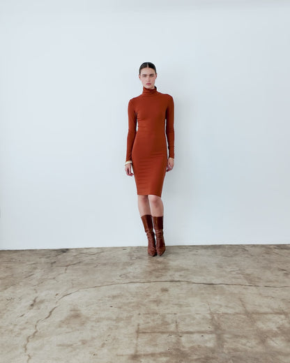 Rust Midi Turtleneck Dress