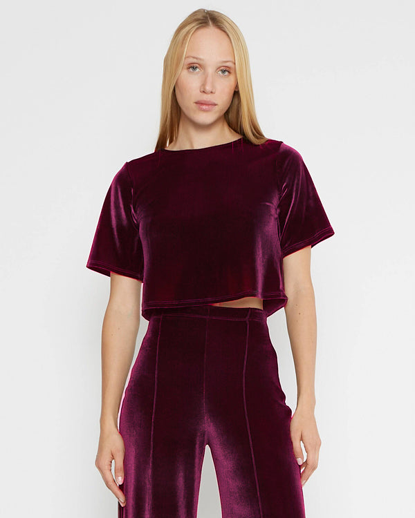 Merlot Stretch Velvet Short Sleeve Top | Ripley Rader